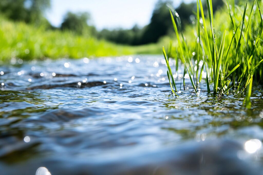 自然に配慮したイメージ画像